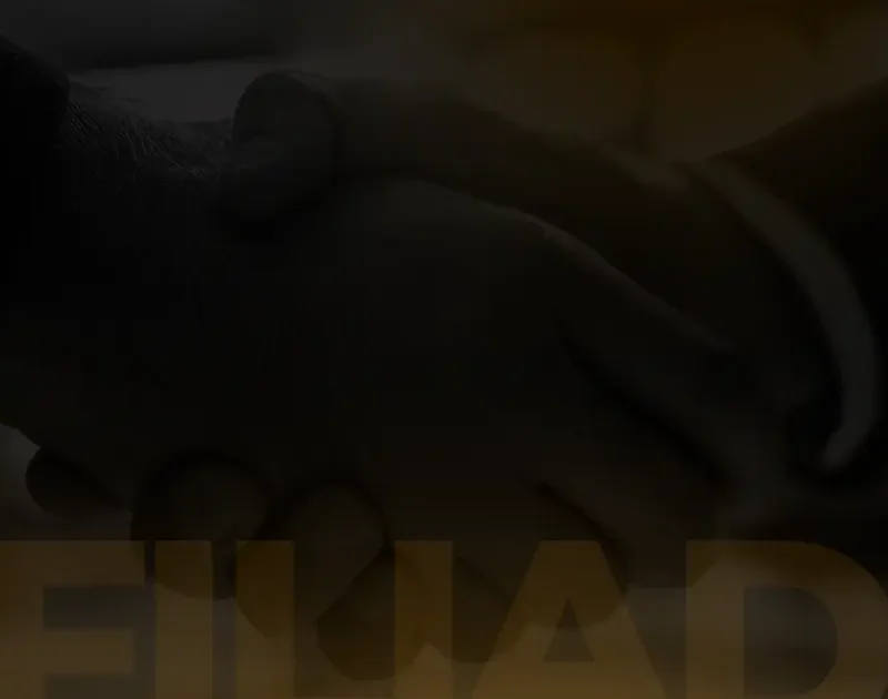 Afiliados como extensão do marketplace